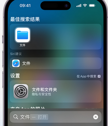 郓城apple维修中心分享iPhone文件应用中存储和找到下载文件 