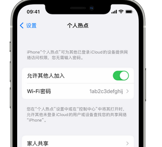 郓城apple服务站点分享iPhone上个人热点丢失了怎么办 