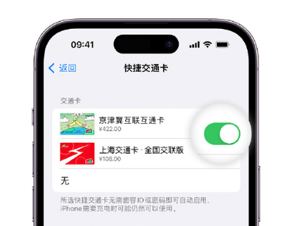 郓城apple维修点分享iPhone上更换Apple Pay快捷交通卡手绘卡面 