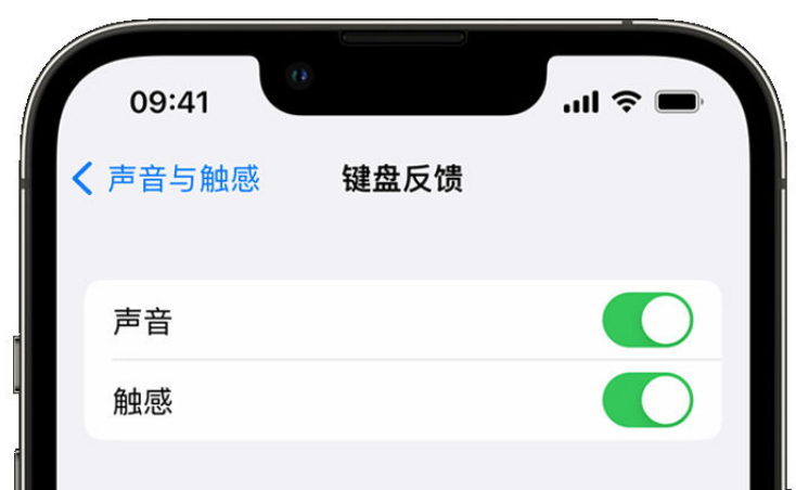 郓城苹果手机维修分享iPhone 14触感键盘使用方法 