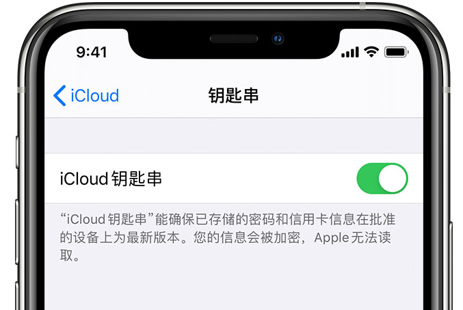 郓城苹果手机维修分享在 iPhone 上开启 iCloud 钥匙串之后会储存哪些信息 