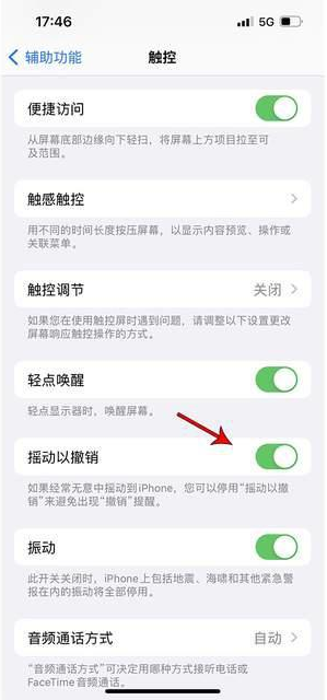 郓城苹果手机维修分享iPhone手机如何设置摇一摇删除文字 